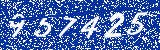 Capcha image